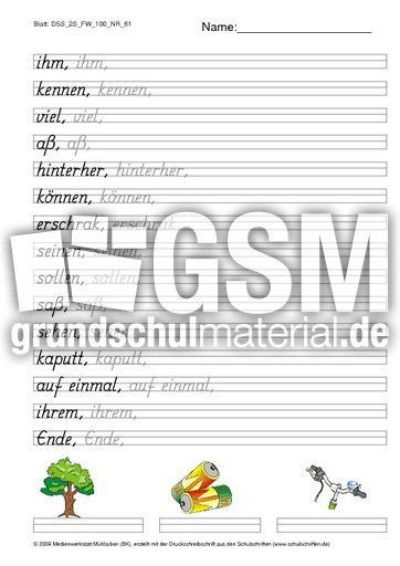 DSS_2S_FW_100_NR_61.pdf